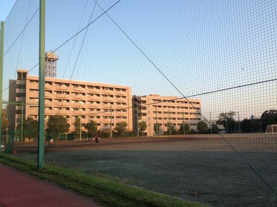 The dorms from the sports field