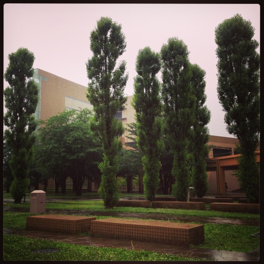 It's currently the rainy season here! The campus is lovely in the rain :) 